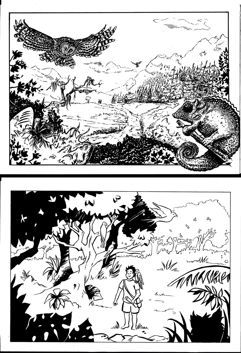 flo kanban illustration jeunesse encrage BD encre de chine jungle caméléon chouette