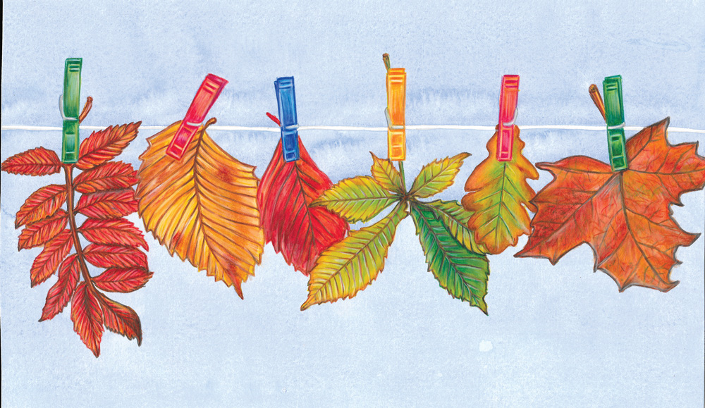 flo kanban illustration jeunesse feuilles automnes