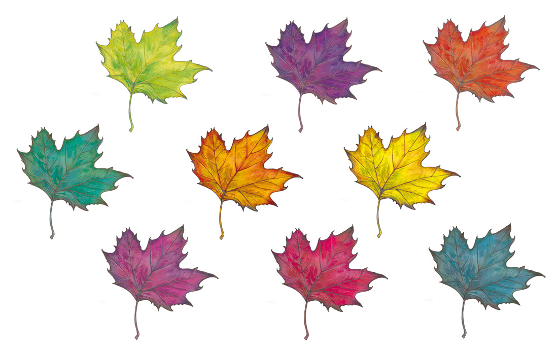 Flo kanban illustration jeunesse feuilles pop art