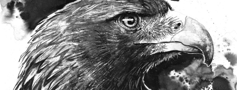 Flo_Kanban_illustratrice_N&B_encre_aigle