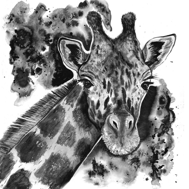 Flo_Kanban_illustratrice_N&B_encre_giraphe