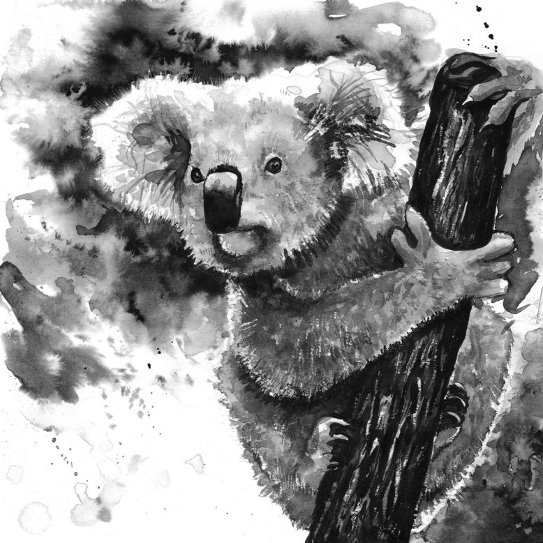 Flo_Kanban_illustratrice_N&B_Koala