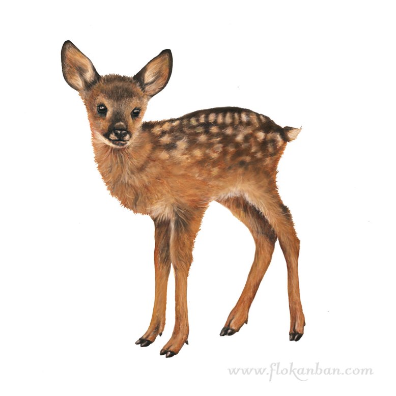 Flo_Kanban_illustratrice_Biche