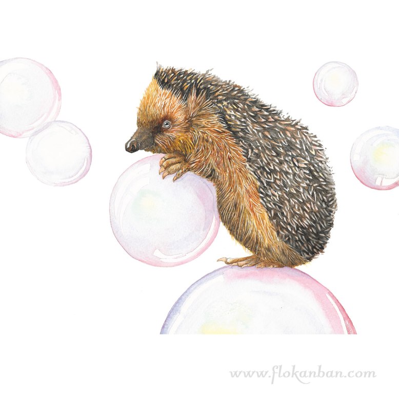 Flo_Kanban_illustratrice_Herisson